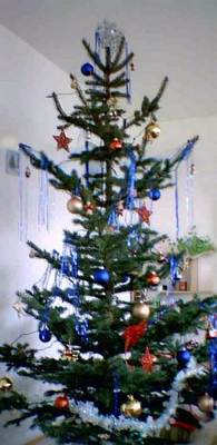 43_Xmas Tree 03.jpg